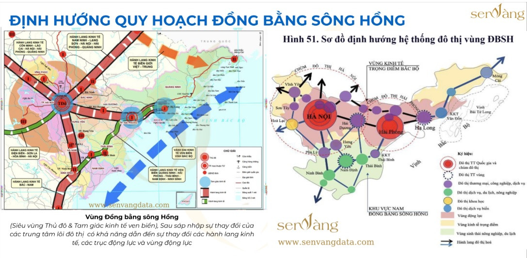 Bất động sản giai đoạn 2025-2035: 4 động lực quyết định tương lai của thị trường- Ảnh 2.