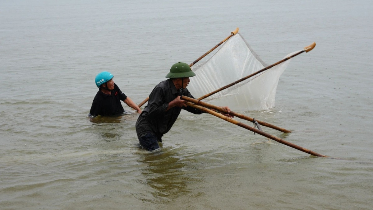 Biển động, trời nổi gió: Dân vùng biển lại tranh thủ 'gom lộc trời ban', bán nửa triệu mỗi ký
