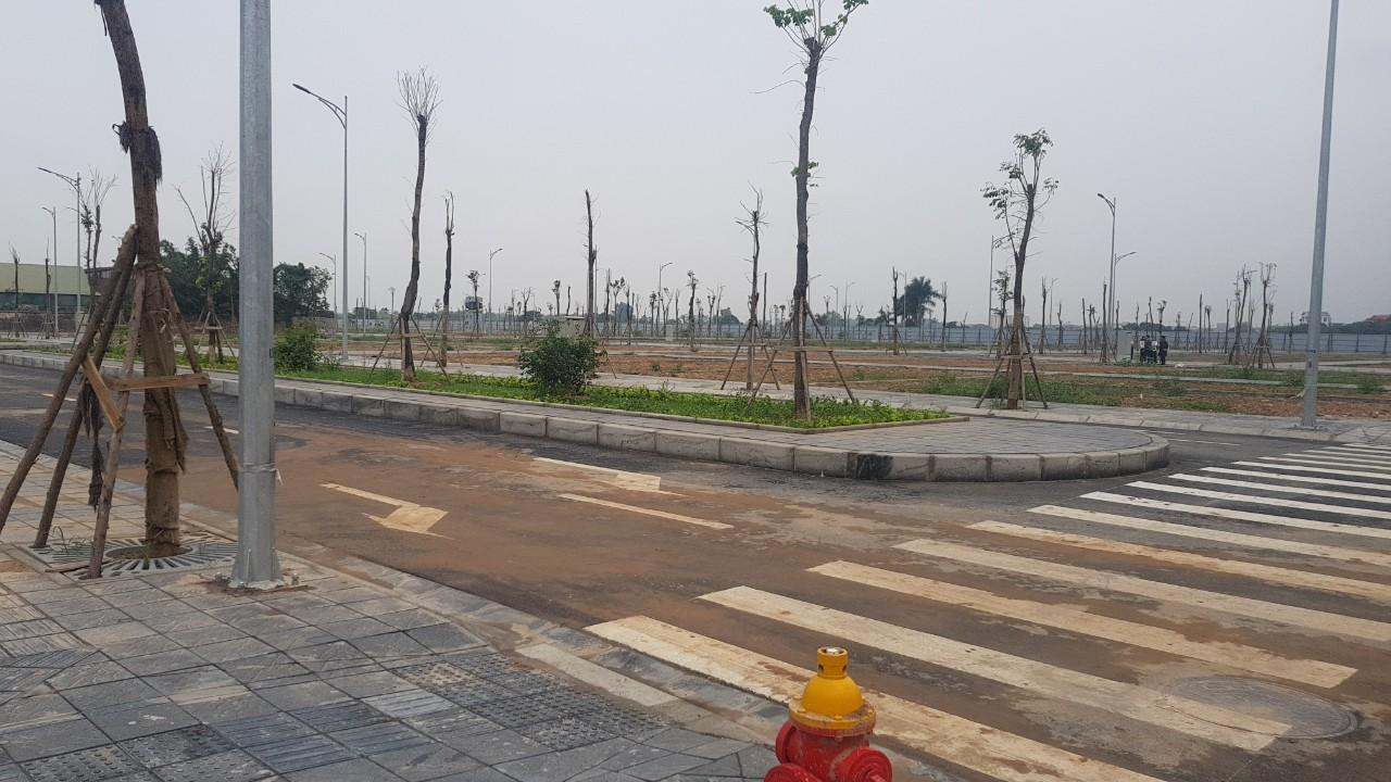 Tin vui với doanh nghiệp trước đề xuất mới trong dự thảo Luật Đất đai sửa đổi. tien-phong-daugia3-3422.jpg
