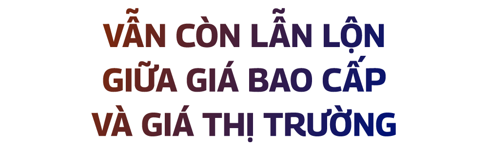 asset-6(1).png