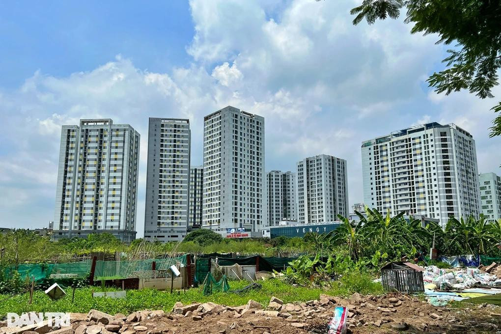 Muốn giá nhà hạ nhiệt, giải pháp không nằm ở việc đánh thuế, mà phải từ gốc: tăng cung, tháo gỡ rào cản pháp lý. JPG.jpg