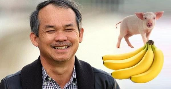 Hoàng Anh Gia Lai (HAGL) của bầu Đức: Hái quả ngọt nhờ trái cây nhưng 'trắng tay' ở mảng nuôi heo