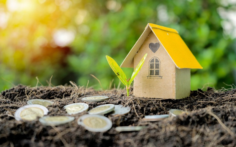 Chi tiết cách chuyển đổi đất nông nghiệp sang đất thổ cư mới nhất 2025- Ảnh 2. Chi tiết cách chuyển đổi đất nông nghiệp sang đất thổ cư mới nhất 2025- Ảnh 2.