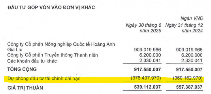 Một khoản đầu tư đang khiến HAGL phải trích lập dự phòng gần 400 tỷ