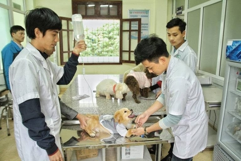Doanh nghiệp tới tận trường săn đón, thu nhập 30 triệu đồng/tháng: Một ngành tại Học viện Nông nghiệp Việt Nam âm thầm lên ngôi