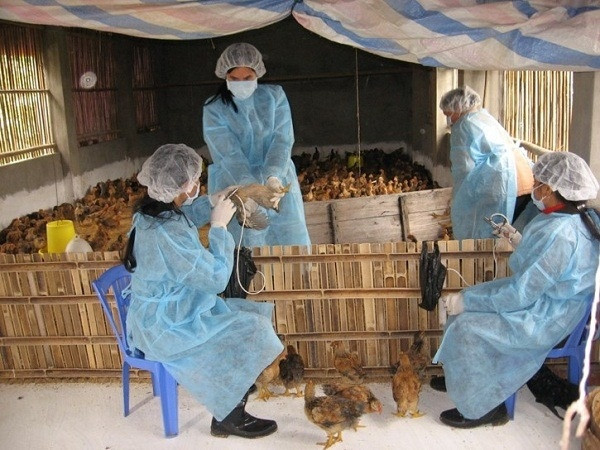 Doanh nghiệp tới tận trường săn đón, thu nhập 30 triệu đồng/tháng: Một ngành tại Học viện Nông nghiệp Việt Nam âm thầm lên ngôi