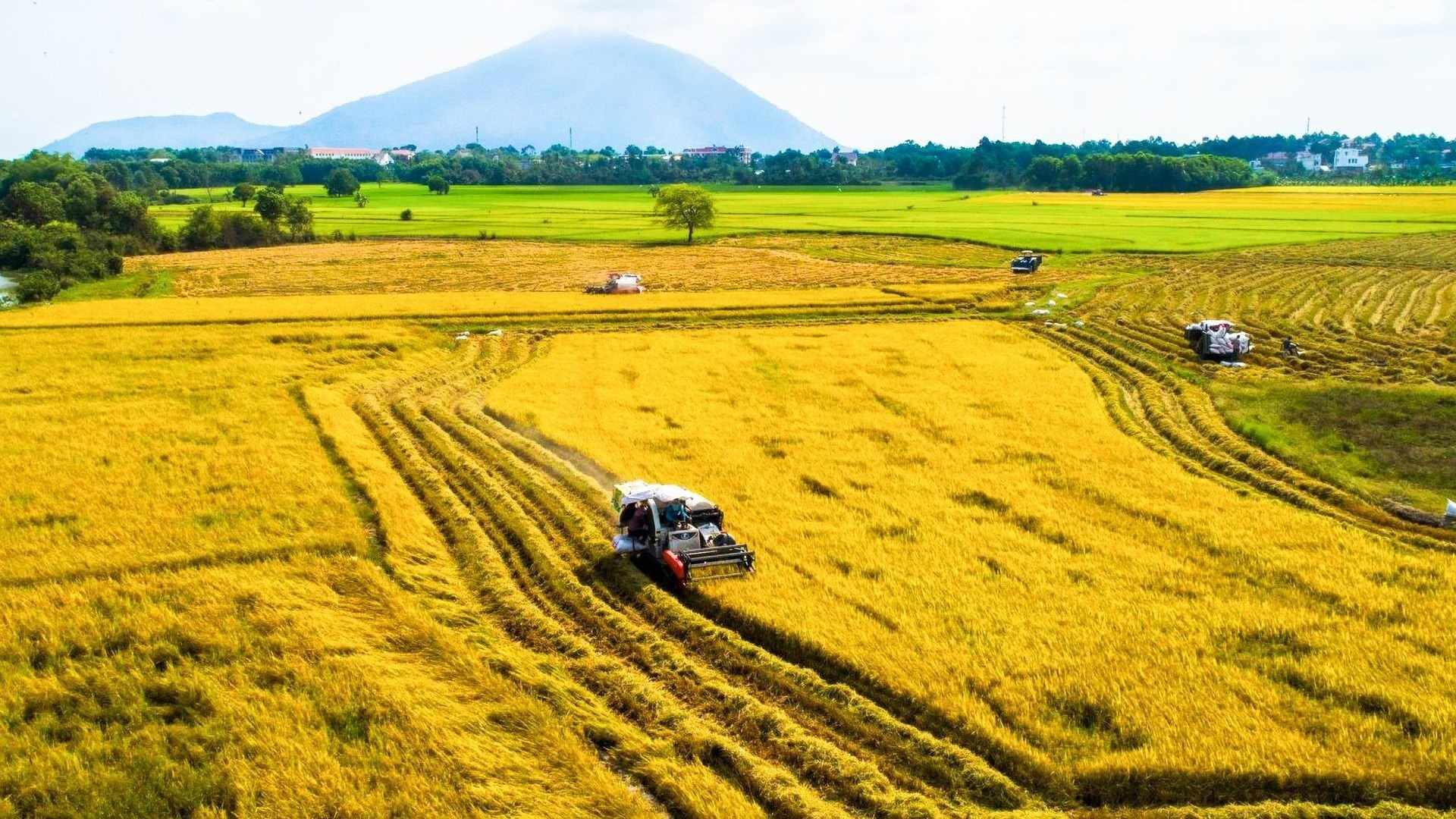 Nhà nước sẽ thu hồi đất nếu doanh nghiệp đạt thỏa thuận trên 75%?- Ảnh 1. Nhà nước sẽ thu hồi đất nếu doanh nghiệp đạt thỏa thuận trên 75%?- Ảnh 1.