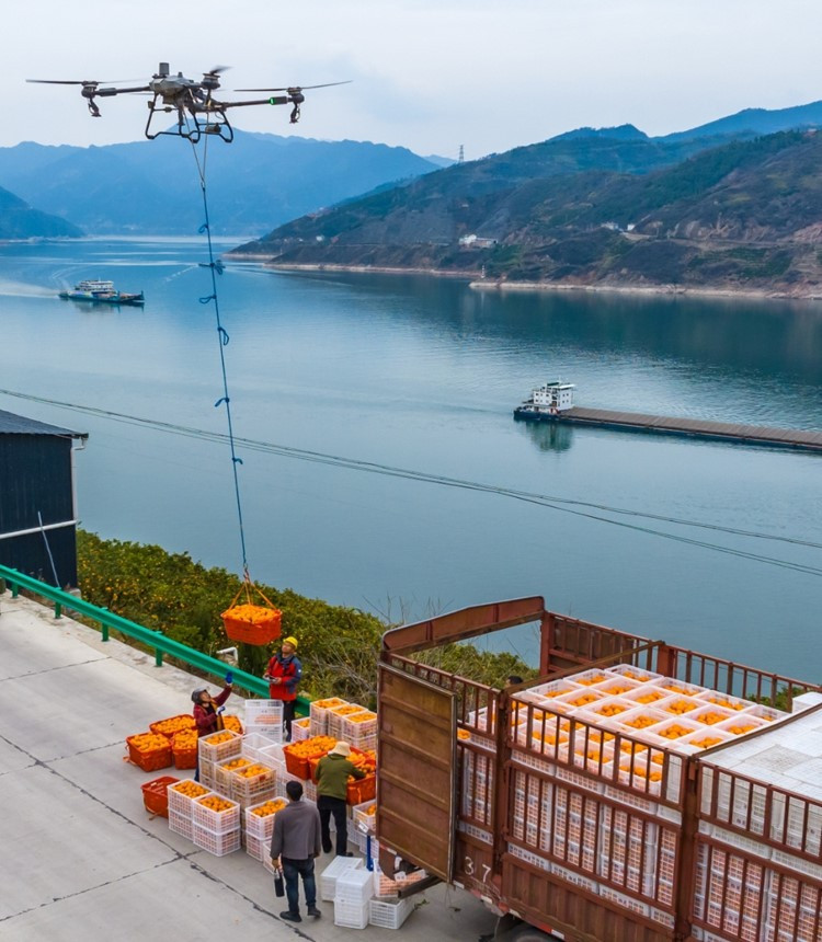 ‘Nông nghiệp không người’ lên ngôi tại Trung Quốc: Sử dụng AI thu hoạch mất đúng 1 phút, con người chỉ việc ngồi điều khiển robot làm hết - ảnh 3