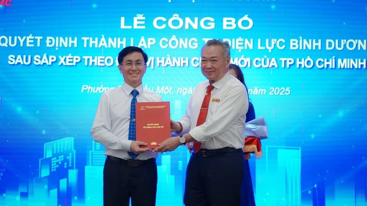 Thành phố đông dân nhất Việt Nam thành lập 9 công ty điện lực mới - ảnh 1