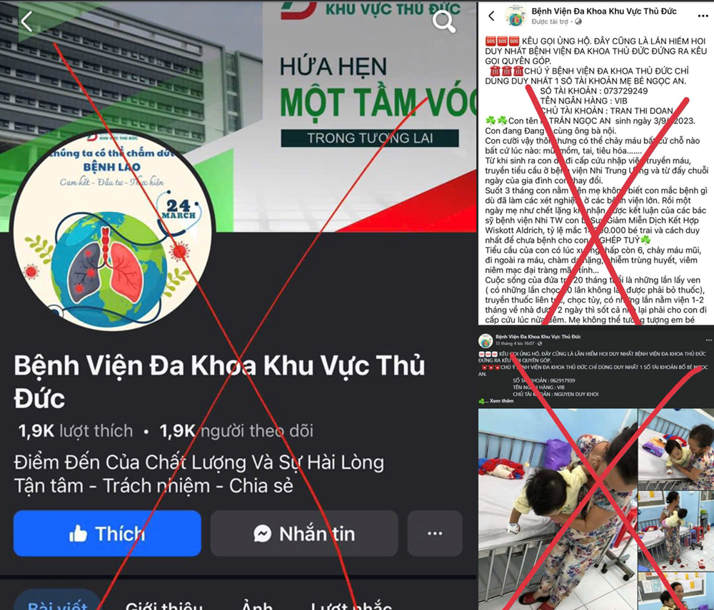 Nhiều bệnh viện lớn tại Việt Nam ‘cầu cứu’ - ảnh 2