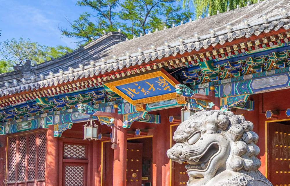 ‘Học bá’ 3 lần đỗ trường top 1 cả nước, từ chối nhập học để bỏ túi 8,4 tỷ đồng nhờ kỳ thi đại học - ảnh 1