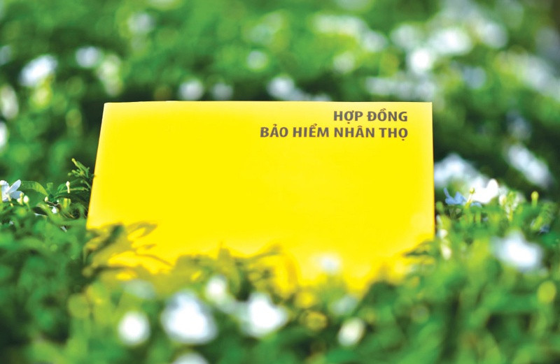 Khách hàng hủy bảo hiểm nhân thọ sẽ được hoàn 100% phí trong trường hợp sau