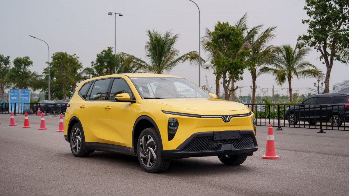 VinFast bàn giao lô xe Limo Green đầu tiên cho khách hàng