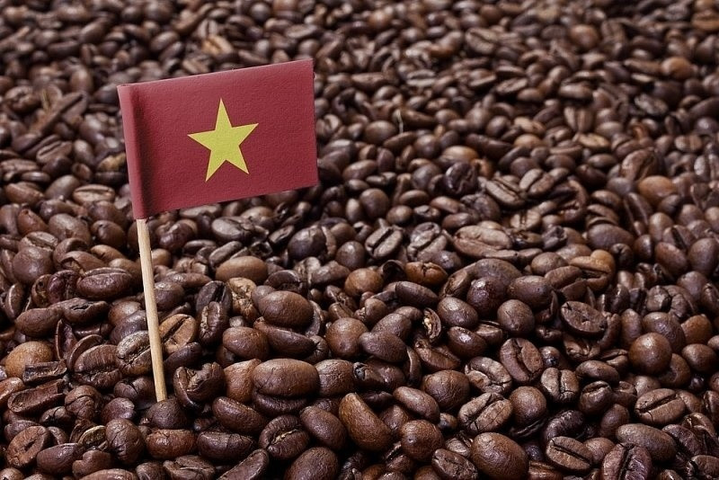 Châu Âu không thể thiếu, Nga không thể trồng: Đua nhau nhập hàng trăm nghìn tấn hạt tỷ đô của Việt Nam