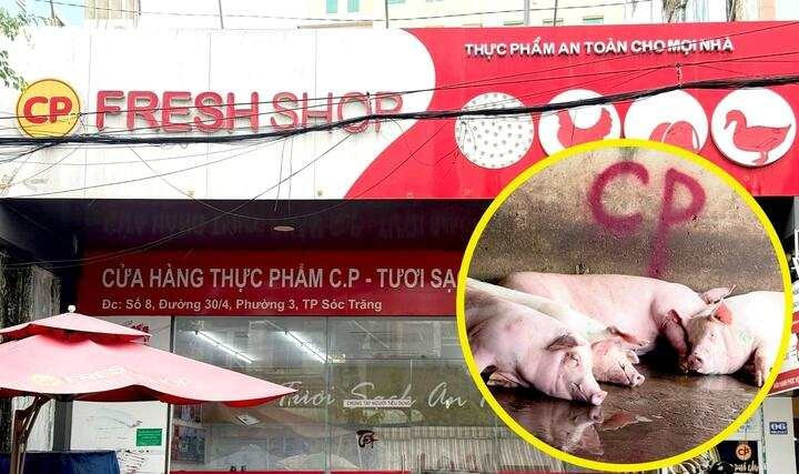 Công an triệu tập người 'tố' Công ty C.P. Việt Nam bán thịt heo bệnh - ảnh 1