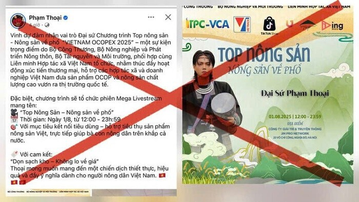 Chính thức xử phạt Phạm Thoại - ảnh 2