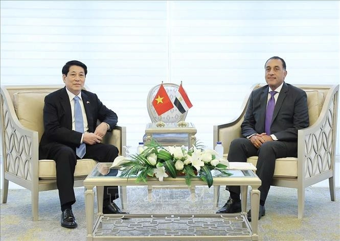 Thủ tướng Ai Cập đề xuất thành lập Hội đồng kinh doanh Việt Nam - Arab- Ảnh 2. Thủ tướng Ai Cập đề xuất thành lập Hội đồng kinh doanh Việt Nam - Arab- Ảnh 2.