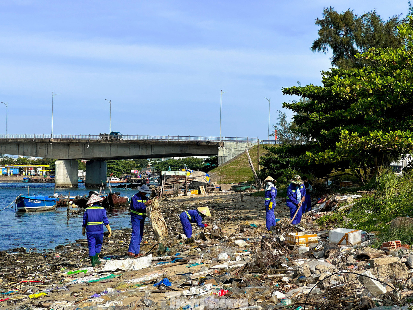 tp-racngapnguamanquang.jpg