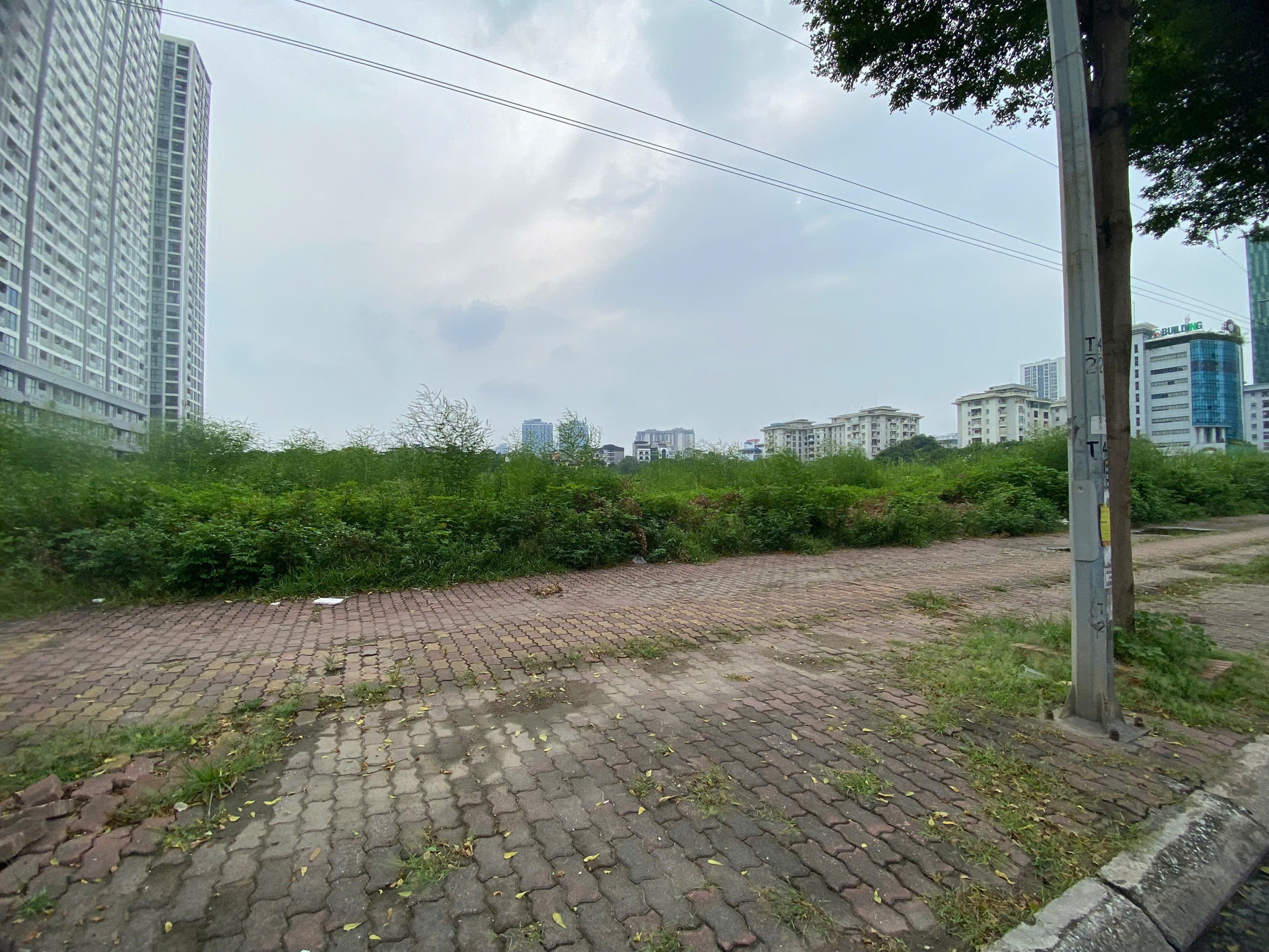 Hiện khu đất vẫn bỏ hoang, cỏ dại mọc um tùm. Hiện khu đất vẫn bỏ hoang, cỏ dại mọc um tùm.