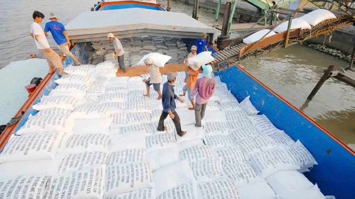 Quốc gia Đông Nam Á nhập khẩu gạo lớn nhất thế giới đột ngột ‘bẻ lái’, thị trường gạo Việt Nam có bị ảnh hưởng?