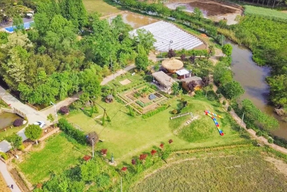 Giám đốc ‘bỏ phố về quê’ xây nông trại hơn 133.000m2 để ‘chữa lành’, hoàn thành sau 3 năm tự tay xây dựng - ảnh 1