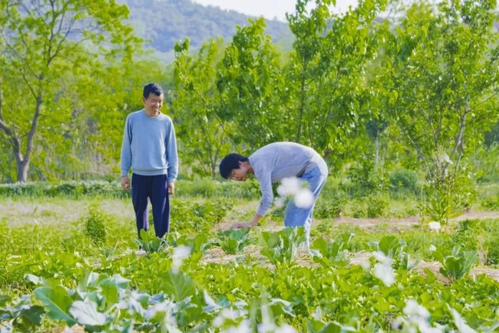 Giám đốc ‘bỏ phố về quê’ xây nông trại hơn 133.000m2 để ‘chữa lành’, hoàn thành sau 3 năm tự tay xây dựng - ảnh 6
