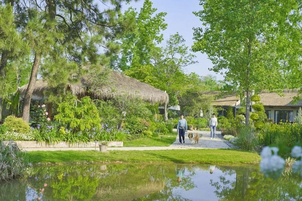 Giám đốc ‘bỏ phố về quê’ xây nông trại hơn 133.000m2 để ‘chữa lành’, hoàn thành sau 3 năm tự tay xây dựng - ảnh 5