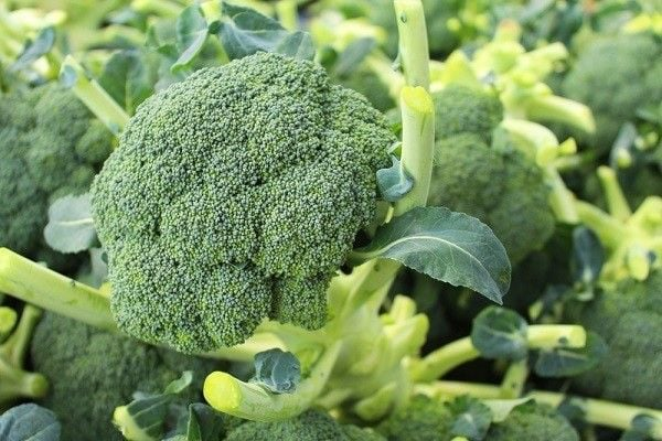 Mỹ xếp loại rau này vào nhóm 'ngậm' ít thuốc trừ sâu nhất: Ở Việt Nam bán đầy chợ, giá cả thế nào?