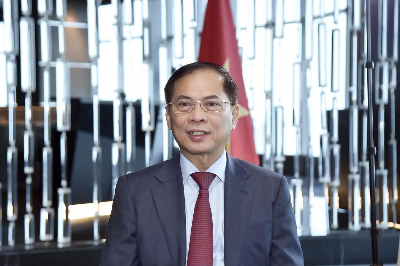 Phó Thủ tướng, Bộ trưởng Ngoại giao Bùi Thanh Sơn. Ảnh: Mofa pttg-btng-tlpv.jpg