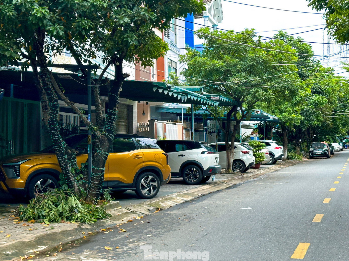 tp-chiemdunglongleduong-5.jpg