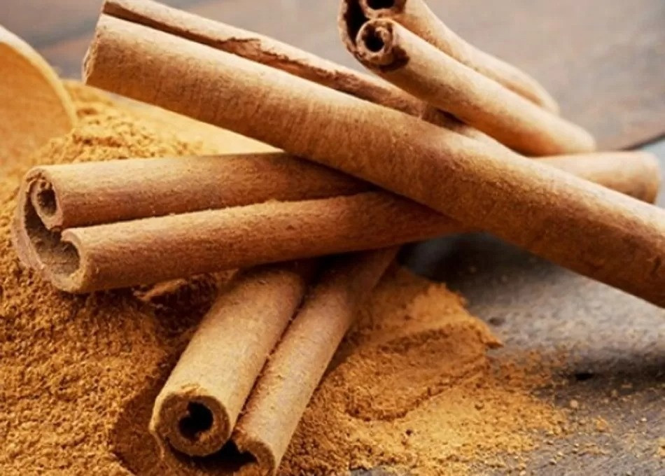 22 tấn 'vàng xanh' của Việt Nam bị Ba Lan trả hàng vì bốc mùi nấm mốc và chất ô nhiễm