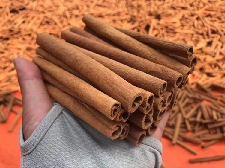 22 tấn 'vàng xanh' của Việt Nam bị Ba Lan trả hàng vì bốc mùi nấm mốc và chất ô nhiễm