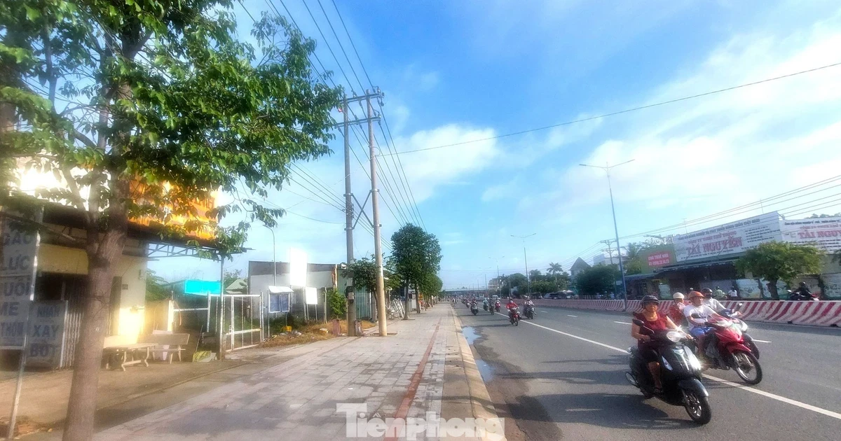 Thu hồi dự án nhà ở bỏ hoang 17 năm trên 'đất vàng' TPHCM