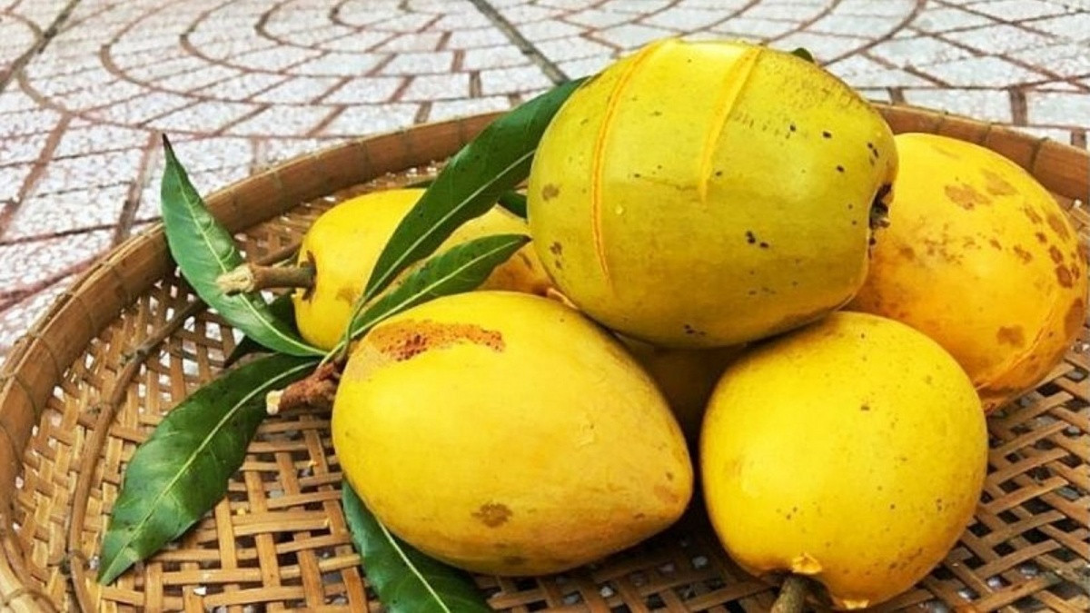 Loại quả ở Việt Nam rụng kín gốc không ai ngó, sang nước ngoài bán giá 'ngất ngưởng' gần 2 triệu/kg: Được đánh giá là tốt hơn bơ gấp bội lần