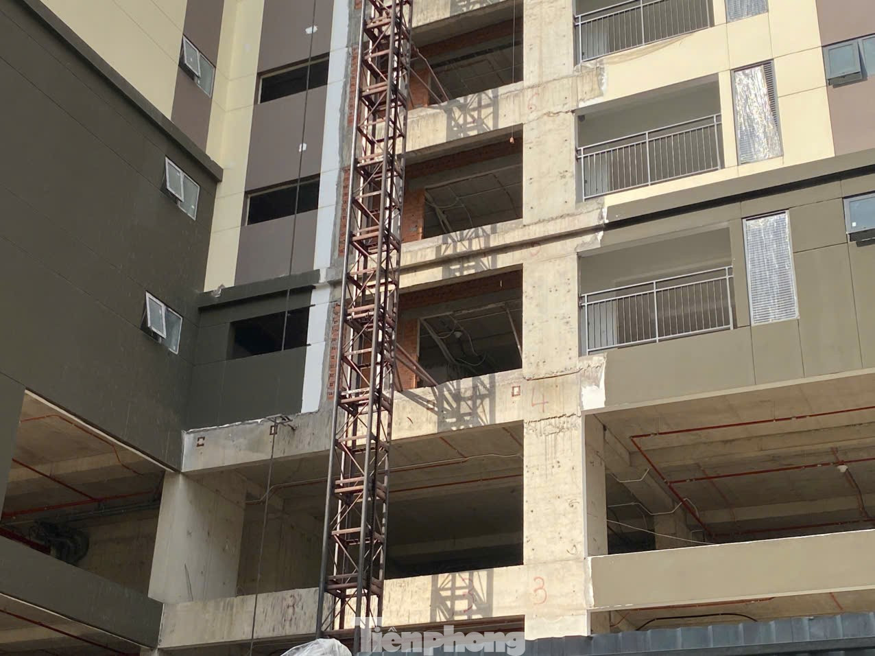 Năm 2022, một số công ty môi giới rầm rộ đưa thông tin về dự án Phú Thọ DMC và nhận tiền giữ chỗ, đăng ký mua của nhiều khách hàng. tp-10.jpg