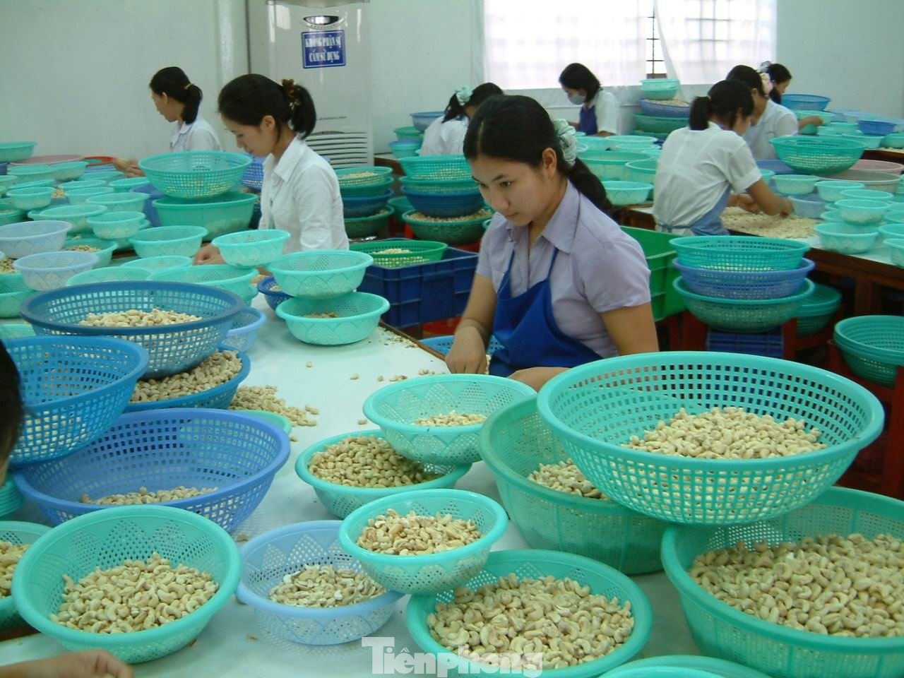 tp-trai-cay-uyen-phuong-1.jpg