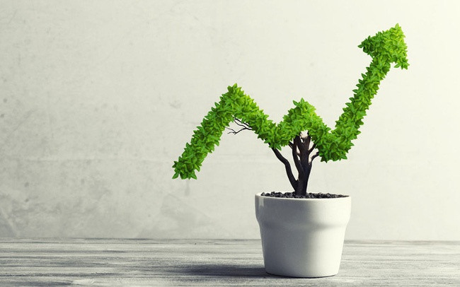 HoSE ra mắt chỉ số VNMITECH và VN50 Growth: Thêm cơ hội mới cho nhà đầu tư