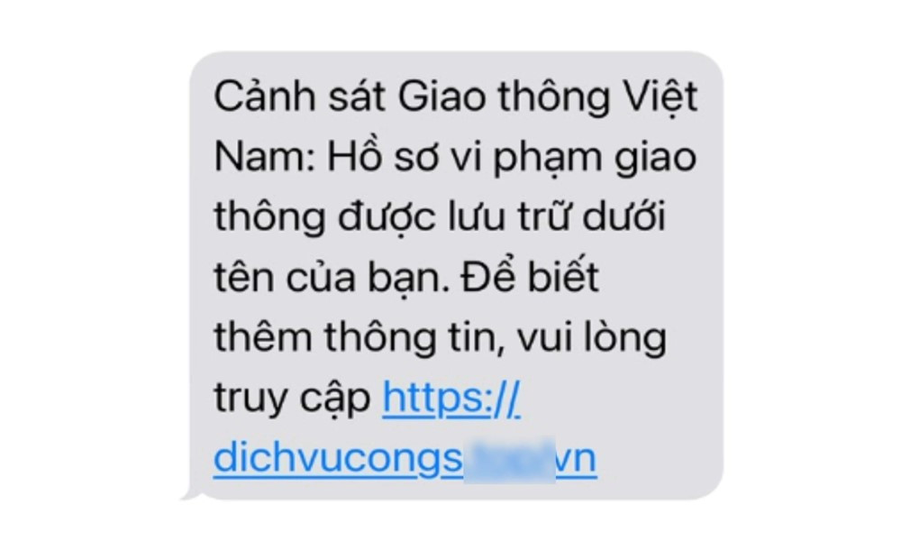 Bắt giữ một đối tượng người nước ngoài - ảnh 4