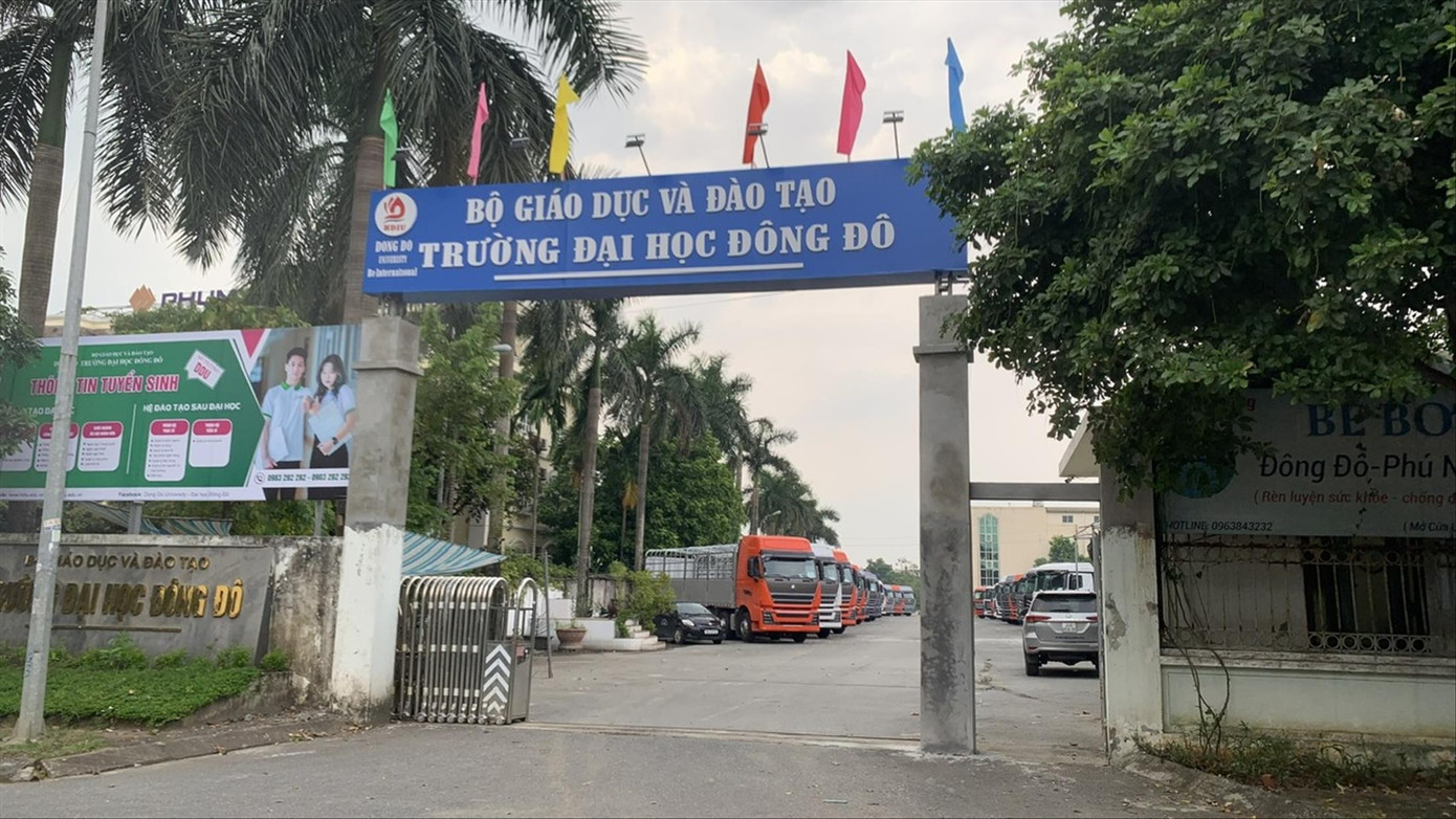 6a.jpg