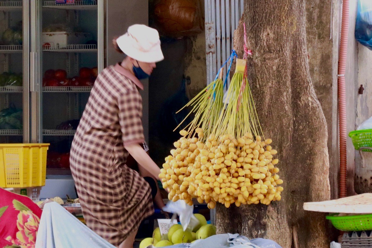 Chà là tươi đầu mùa bắt đầu xuất hiện ở các chợ dân sinh và các cửa hàng ở Hà Nội. z6900161687079-566ca3434ed62b2494b97a726df45a46.jpg