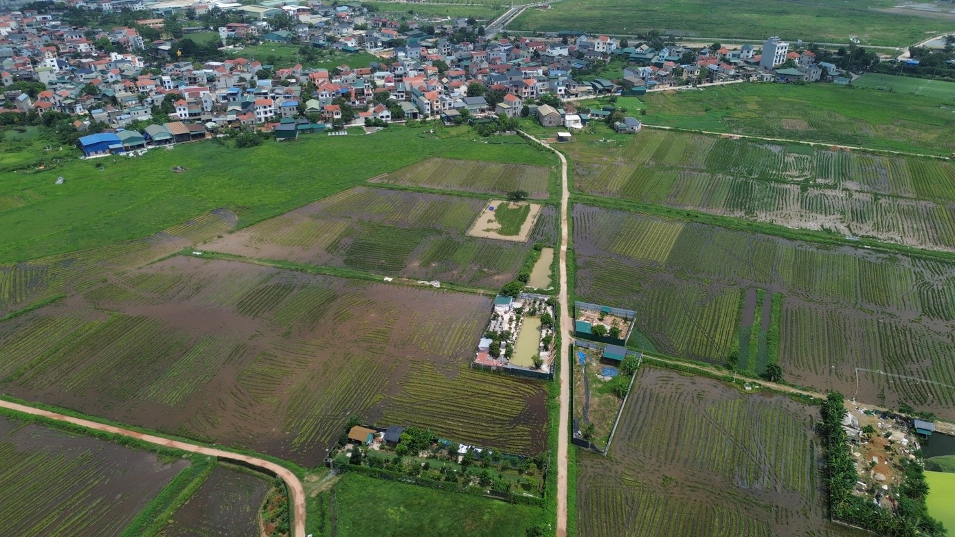 Một khu đất nông nghiệp trên địa bàn Hà Nội dji-0105-2831-9826.jpg