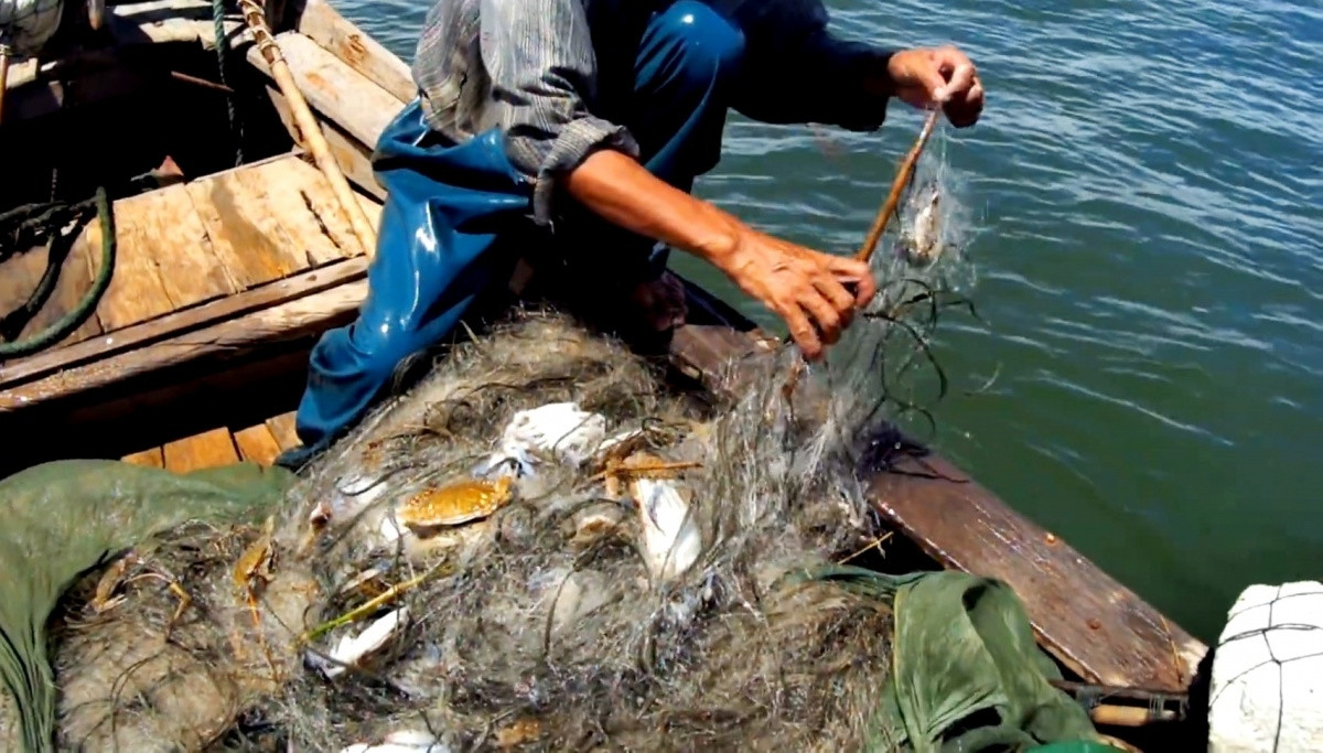 ‘Kho báu dưới nước’ của Việt Nam thu về hơn 173 triệu USD nửa đầu năm: 25 quốc gia săn lùng, EU tăng trưởng 71%