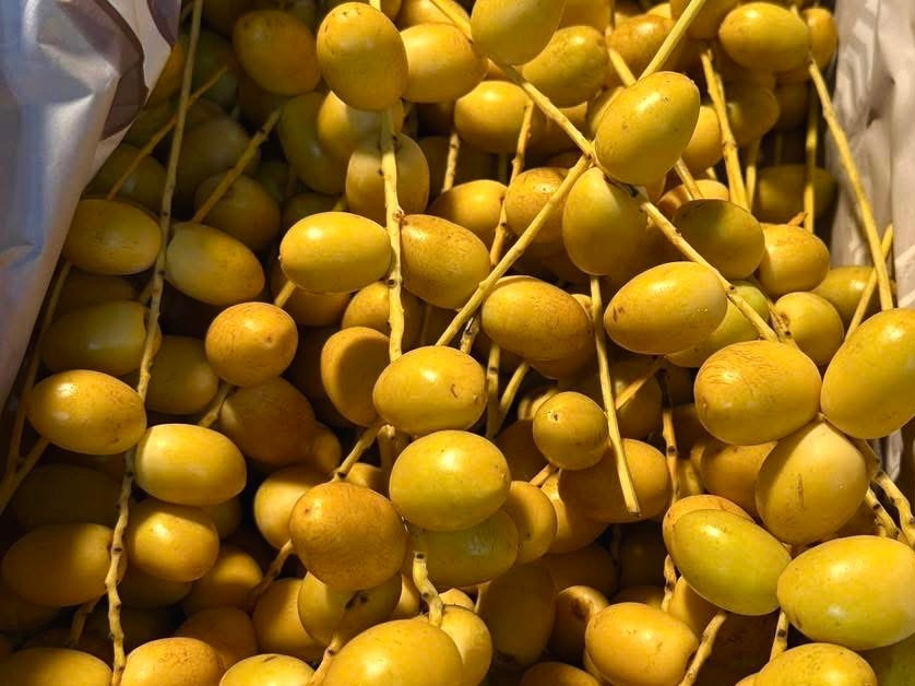 Chà là Thái Lan tươi năm nay có chất lượng tốt do điều kiện thời tiết thuận lợi. z6900163950650-63c661ff80beca7b4d645791fe253bf3.jpg
