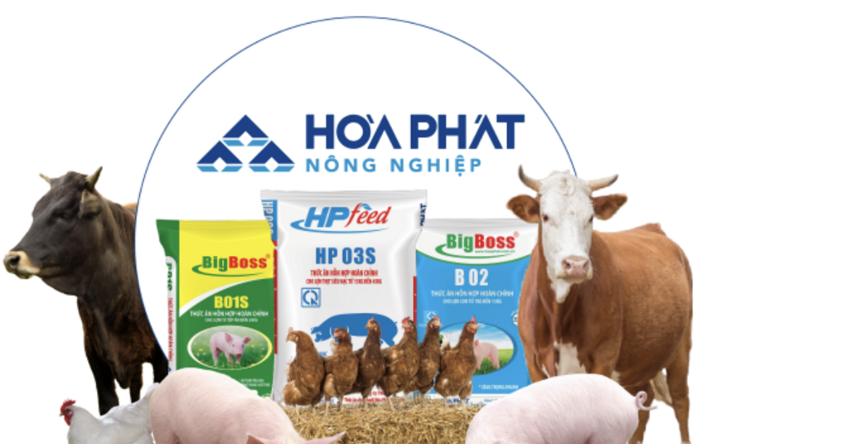 Vua thép Hòa Phát (HPG) thắng lớn trong chuồng gà, đàn gà sắp Nam tiến