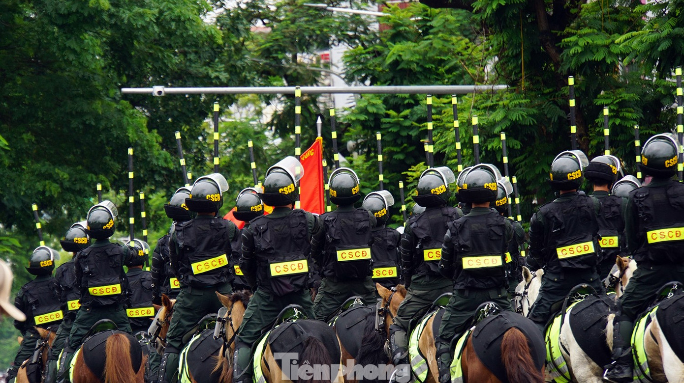 tp-ky-binh-18.jpg