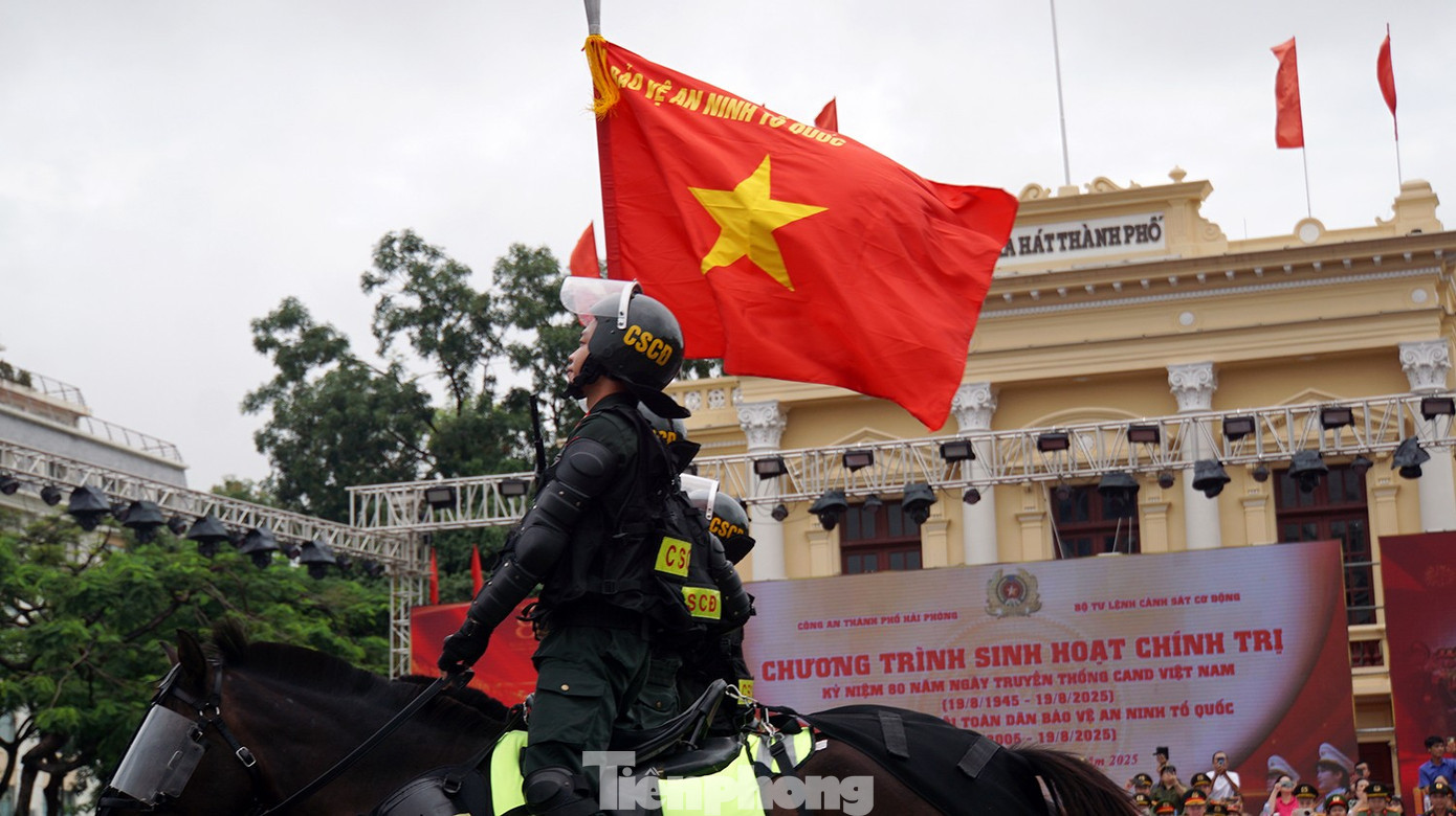 tp-ky-binh-22.jpg