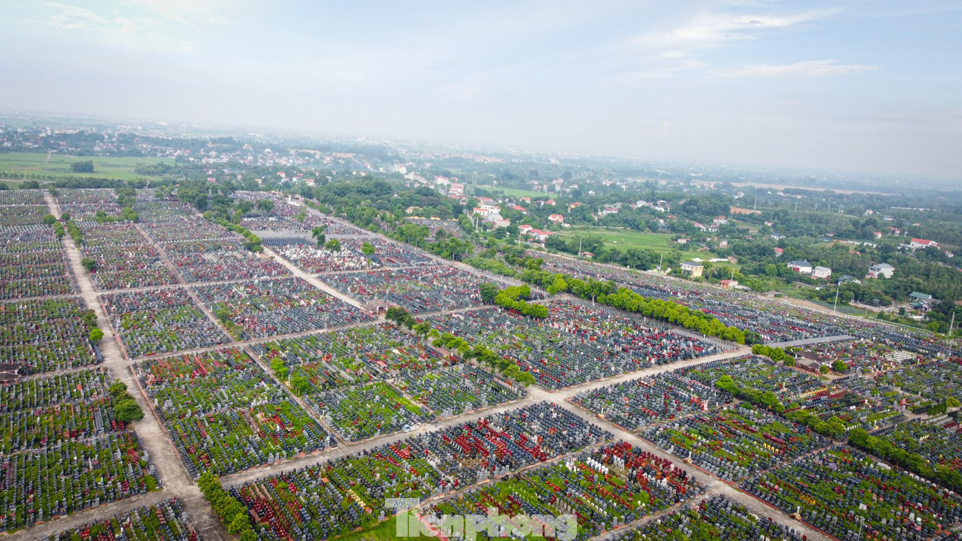 tp-nghiatrang-12.jpg