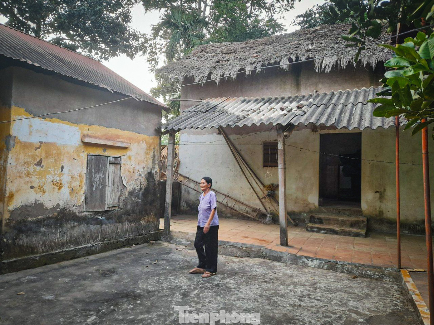 tp-nghiatrang-22.jpg