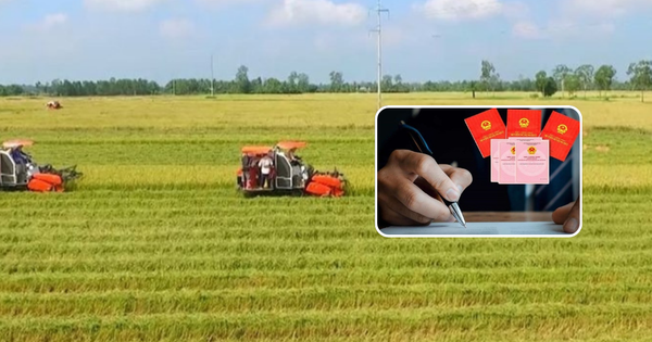 Từ nay, đất lấn chiếm vi phạm vẫn được xem xét cấp sổ đỏ