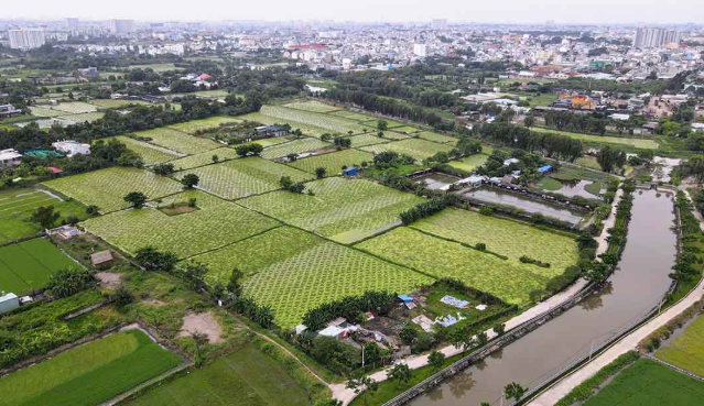 Công viên 25 năm không một bóng người lớn thứ 2 TP. HCM, quy mô 150ha gấp 9 lần Thảo Cầm Viên đón tin vui- Ảnh 1.